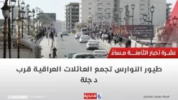 طيور النوارس تجمع العائلات العراقية قرب دجلة | تقرير محمد العيداني