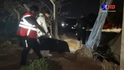 Trasladaron cuerpo en contenedor y lo incineraron: Prisión preventiva para imputado por homicidio