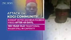 Похищенный Захеус Фагбеми освобожден спустя 49 дней.