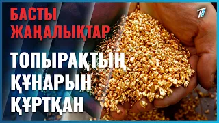 Алтын өндіріп, топырақтың құнарын құртқан