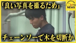 「ノロッコ号の良い写真を撮るため」チェーンソーで線路脇の木を切断か　タクシー運転手の男逮捕