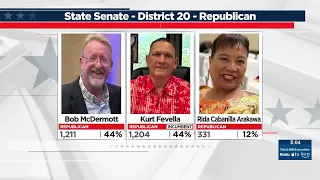 Razor-thin margins separate candidates in several Hawaii primary races
