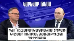 Ինչո՞ւ է համակարգն արձագանքում  երեխայի նկատմամբ բռնության տեսանյութից հետո․ Դավիթ Թումասյան