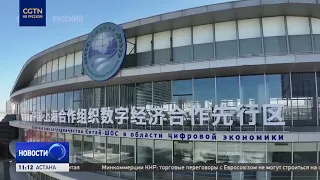 China's Tianjin boosts SCO cooperation infrastructure with new port economy center