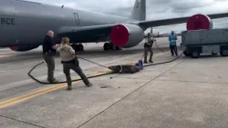 WATCH: Gator caught at MacDill Air Force Base