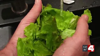 How to know what’s safe to eat amid the Cyclospora and salmonella outbreaks