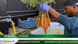 Започва петото издание на био-наградите на ЕС