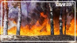 Власти Северной Каролины подготовились к возможным лесным пожарам.