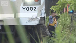 Train and Truck Collide on Tokyu Kodomonokuni Line in Yokohama (August 4, 2026)