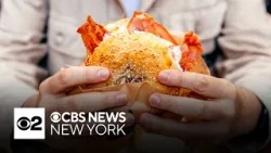 NY bagel chefs, Long Islanders talk about what makes bagels so special