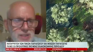 Κατάρρευση των τιμών παραγωγού, μείωση παραγωγής - Οι προοπτικές της νέας ελαιοκομικής περιόδου