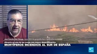 José Damián Ruiz: 'La sequía convirtió la vegetación de Almería en combustible para los incendios'
