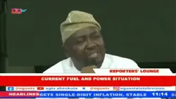 Is Sorry Enough? Minister of Power Pleads with Nigerians Over Electricity Crisis | Reporters' Lounge