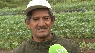 STORM CAUSES DAMAGE TO AGRICULTURE