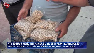 TODAY IN RUMELIA WITH GIZEM NUR AKBULUT (AUGUST 28)
