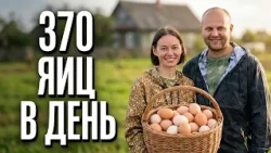 370 яиц каждый день и козочка на бутылочке: будни отчаянных фермеров