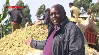 The Losses from Failed Crop Yields