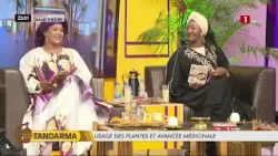 Emmanuel Bassène : pour la collaboration entre médecine traditionnelle et moderne Emmanuel Bassène : pour la collaboration entre médecine traditionnelle et moderne