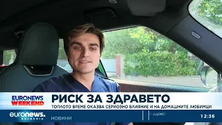 Топлото време оказва сериозно влияние и на домашните любимци