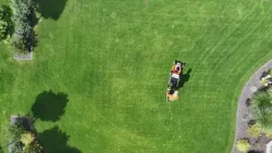 Plant Daddy: Уход за газоном летом, когда сажать и многое другое