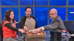 Viva Mexi brewing up Mexican-inspired drinks and eats in Denver | Colorado Conversations