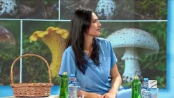 სოკოები-ეკა ქურდაძე; ექიმები-2026.10.18
