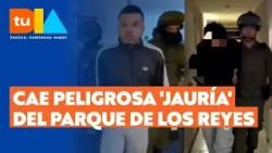 How did the violent gang known as 'the pack' at Los Reyes Park operate? | Tu Día