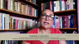 Cáncer en la cuenca Lerma-Chapala: una epidemia incosteable II