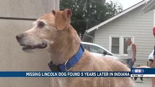Lincoln dog missing since 2021 found in Indiana, reunited with owner