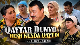 Қайтар дунё беш кунда қайтди | УМР СЎҚМОҚЛАРИ