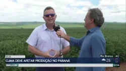 Negociação antecipada de soja é a chave para garantir a rentabilidade da safra