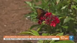 New butterfly botanical native garden opens ahead of Earth Day