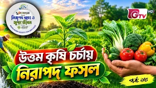 উত্তম কৃষি চর্চায় নিরাপদ ফসল  | নিরাপদ খাদ্য ও সুস্থ জীবন | EP-18 | BSSF | GTV
