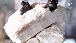 متحف الهامور ذاكرة تراثية نابعة بالأصالة | برنامج صباح الشارقة