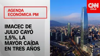 Economista detalla los factores que explican la fuerte caída del Imacec de julio