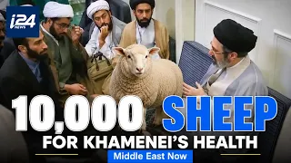 Iranian campaign seeks $1.3 million for ritual sacrifices of sheep for Mojtaba's health