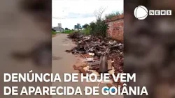 Record News contra a dengue: denúncia de hoje vem de Aparecida de Goiânia, em Goiás