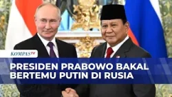 Presiden Prabowo Bakal Bertemu Putin di Rusia, Menlu: Bahas Energi dan Geopolitik Dunia