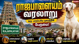 Rajapalayam History Tamil | ராஜபாளையம் நாய்களின் நாயகன்! | Namma Ooru Namma Kathai | Vasanth TV
