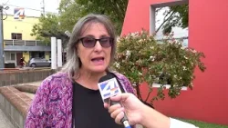 "Pájaros pintados" propone nueva feria.