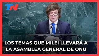 Falklands claim and defense of AI: the topics Milei will bring to the UN General Assembly