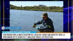 Continúan con la investigación del agua del dique San Agustín tras la mortandad de pejerreyes