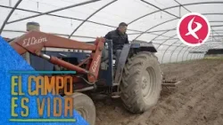 Guille prepara los invernaderos para los cultivos de primavera | El campo es vida