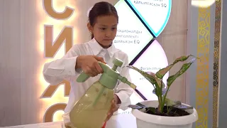 Ecological culture is the basis for a clean future