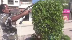 حكاية ملهمة لمتفان ودؤوب و صانع الجمال في شوارع شبوة