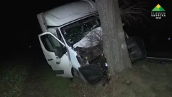 Samochód dostawczy uderzył w drzewo