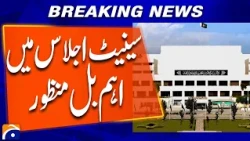 Important Bill Passed in Senate Session | Breaking News | Geo News