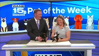 Pet of the Week: 9/8/26