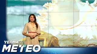 11.8.2026 Сончево и многу топло со мала до умерена облачност - Временска прогноза за 12.8.2026