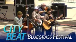 2024 Bluegrass Festival: The Ultimate Visual And Musical Experience